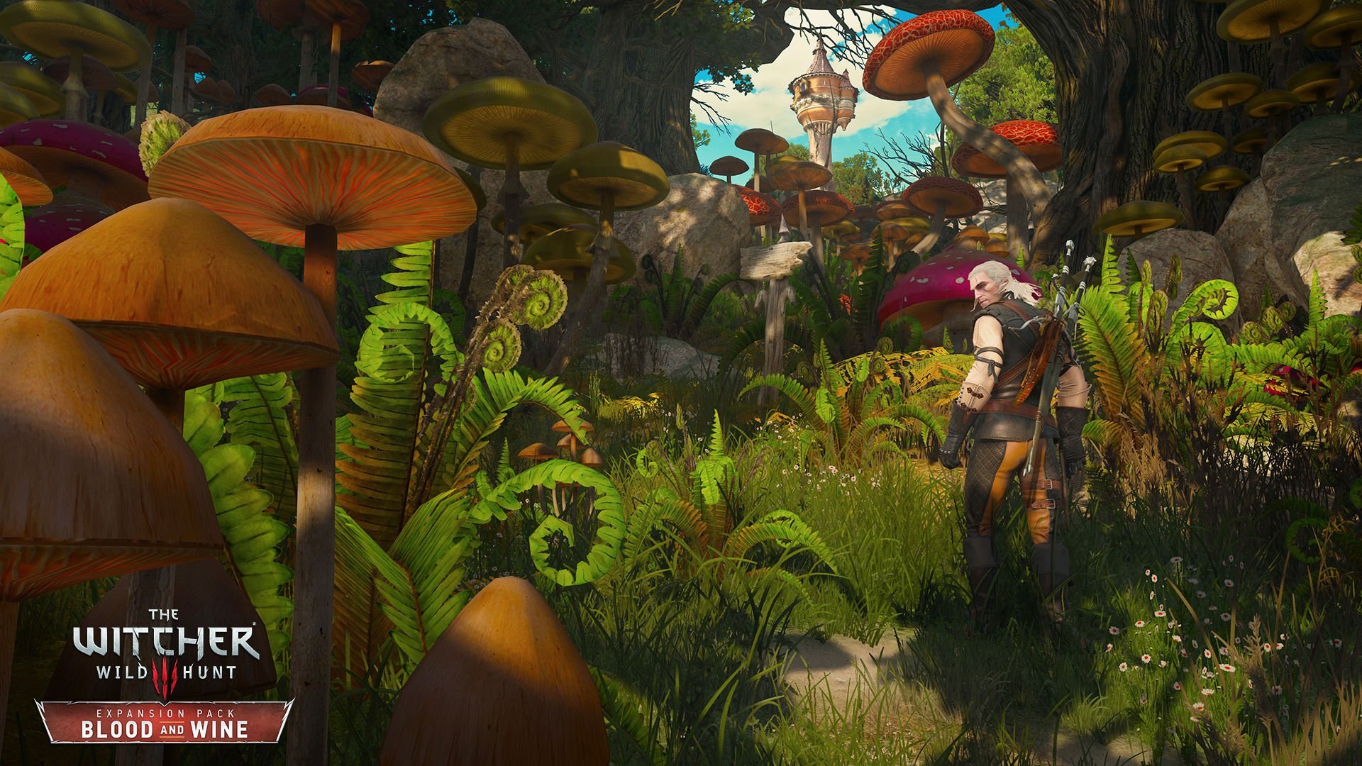 The Witcher 3: Wild Hunt - Blood & Wine - Imagen 49